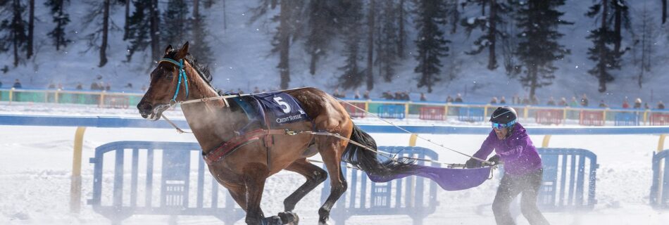 Skieur tracté par un cheval sur une piste enneigée du Queyras.