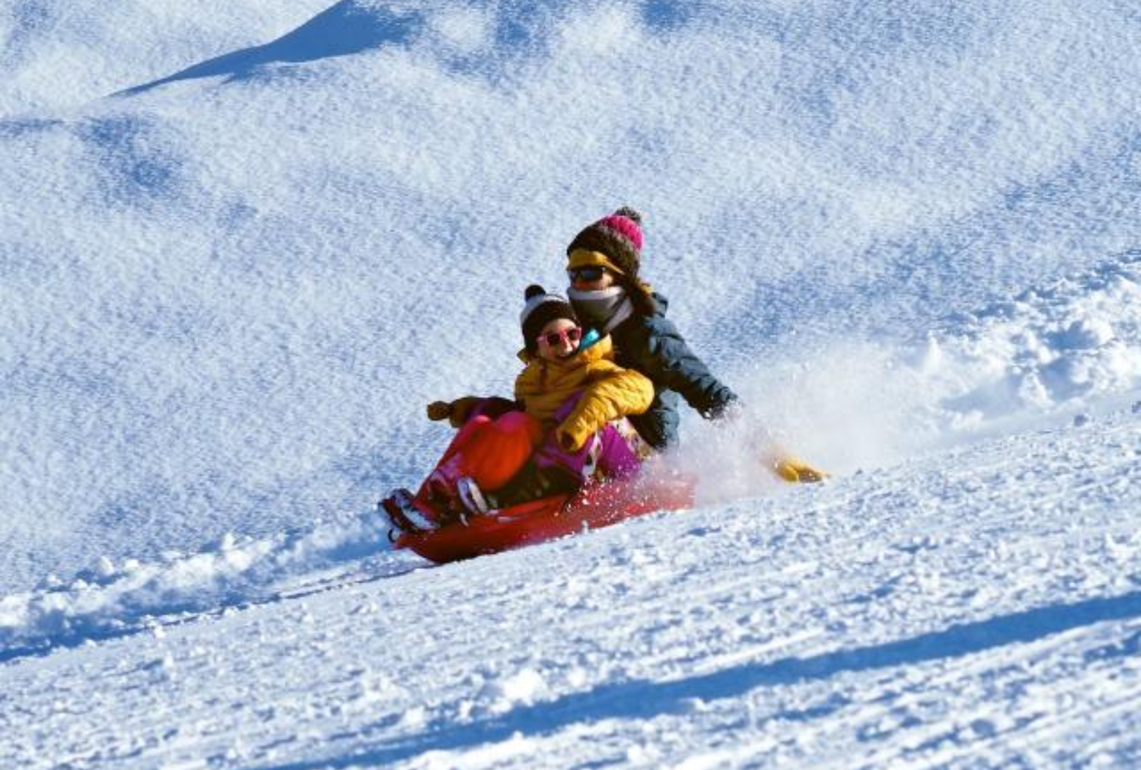 Activité dans le Queyras : La luge avec la Villa Belle Fleur