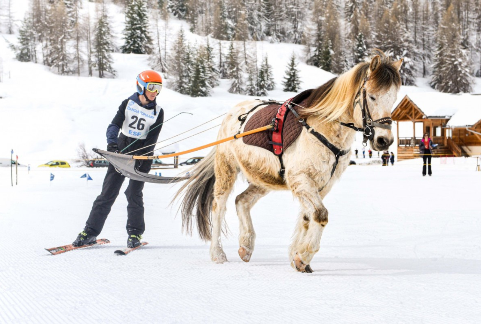 Activité dans le Queyras : Le ski à cheval avec la Villa Belle Fleur