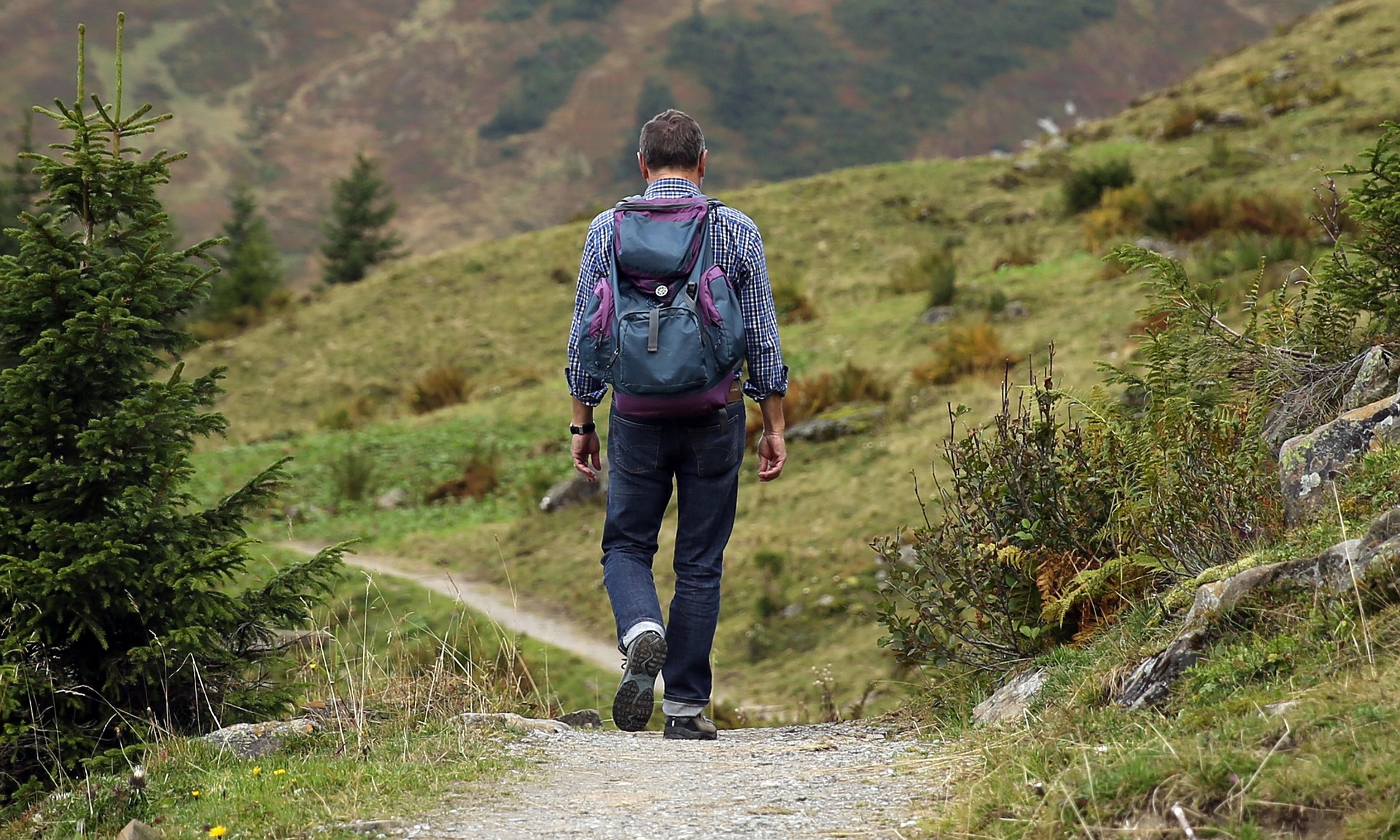 Randonneur sur un sentier de montagne dans le Queyras avant une rencontre avec un patou